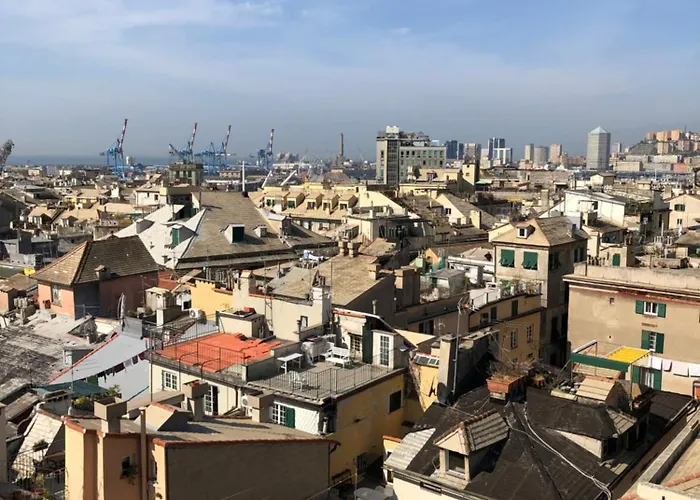 Rolli Palace By Pellicceriasuperior Janov