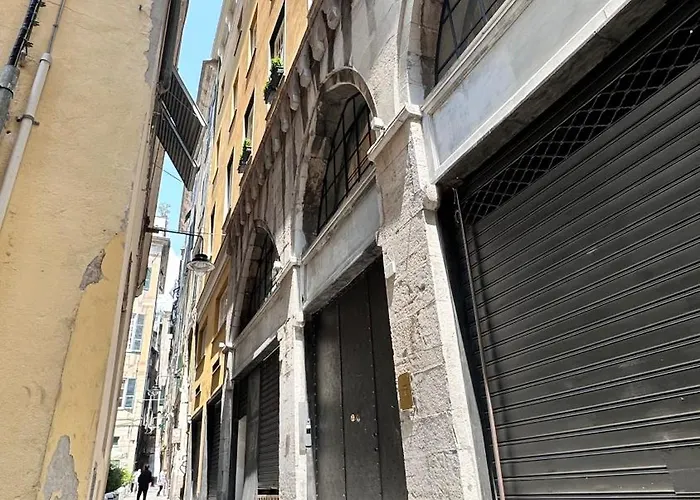 Rolli Palace By Pellicceriasuperior * Janov