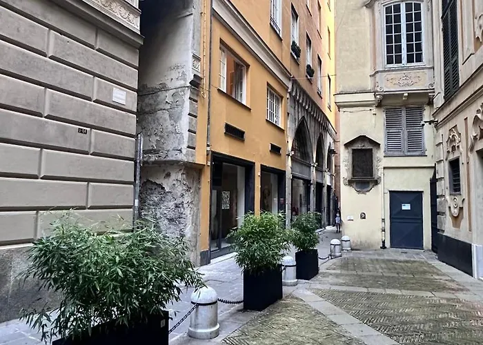 Rolli Palace By Pellicceriasuperior Janov