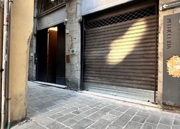 Rolli Palace By Pellicceriasuperior * Janov